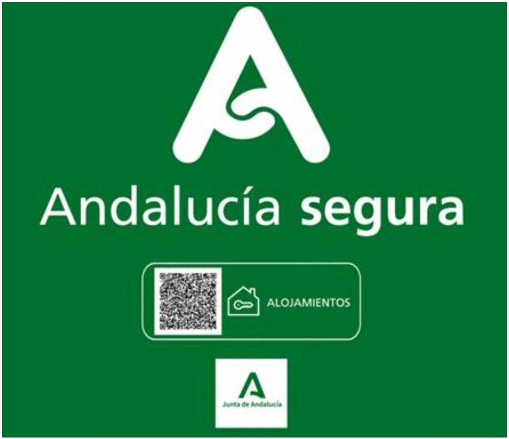 Todosierranevada Zona Baja - Apartamentos De 4 Dormitorios - Junto A Los Telecabinas Сьерра-Невада Экстерьер фото